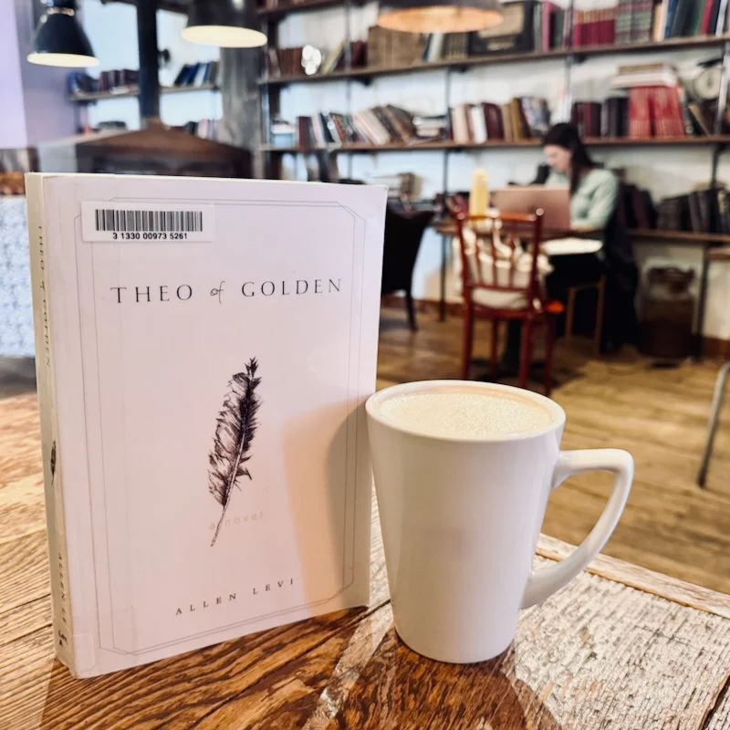 Theo of Golden Novel by Allen Levi - Image 2